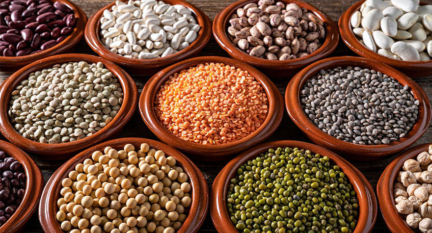 pulses manufacturers in india