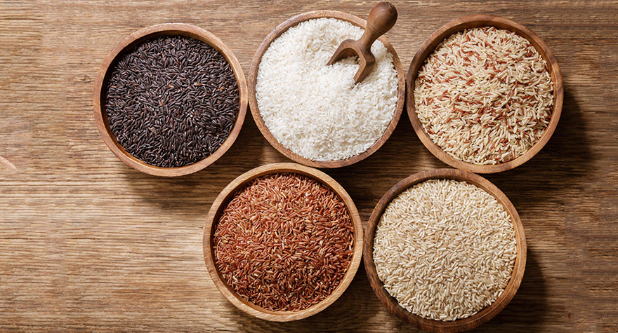 rice manufacturers in india